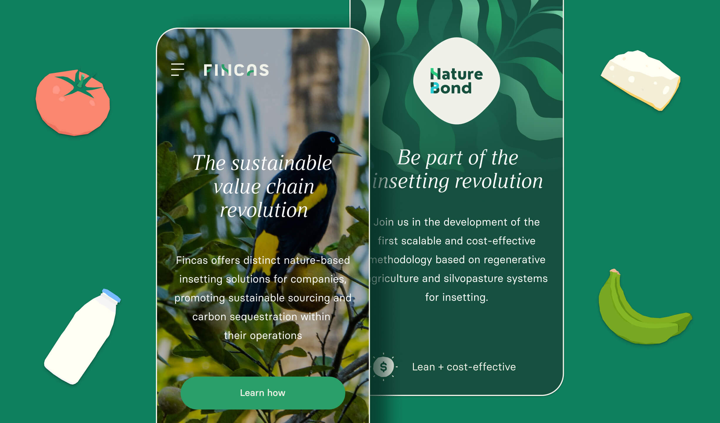 Fincas Case Study Cover